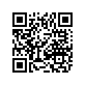 0486-345 HARNESS/DIA,MAIN (2010 650-H1 FIS)