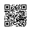 0486-533 HARNESS/DIA,MAIN-015 550/700