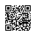 0520-091 GAUGE,LCD (010 700 H1 FIS PS)