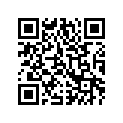 0603-345 VALVE,1.250X.006(3/8ID)