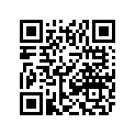 0604-800 ENDCAP,SHOCK