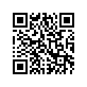 0611-739 DECAL, SPECIAL
