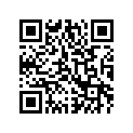 0611-740 DECAL,TUNNEL-RH