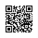 06111-381-S00 Gasket kit b