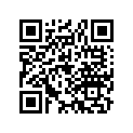 06111-899-405 GASKETKIT