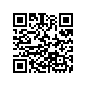 06111-ZG0-405 GASKET KIT