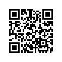 06112-HL4-010 GASKET KIT B