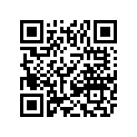 0616-536 BELLYPAN