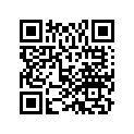 06160-ZV6-U10 CARBKIT(BF9.9)
