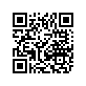 0621-538 DECAL,TUNNEL-