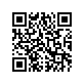 0621-685 DECAL,SIDE PANEL-FWD LH-
