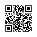 06321-31088-000 Пластина замка
