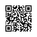 0639-119 WEAR BAR 6
