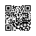 06405-MZ8-P00 Chain set