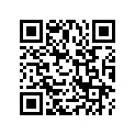 06411-ZV5-517ZA SSBY-11-06411-ZV5-527ZA-CASESET*NH282MU*