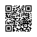 06430-429-405 Колодки тормозные задние