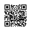 06435-KBS-W00 Pad set