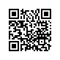06435-KSV-J02 Pad set