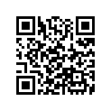 06435-MS2-P00 PAD SET, RR.