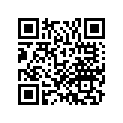 06451-MJT-E01 SEAL SET (34)