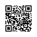 06455-KY7-405 Pad set