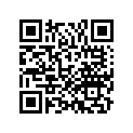 06455-MBV-016 Pad set