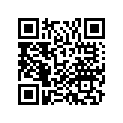 06455-MFF-D01 Pad set