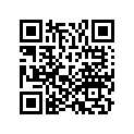 06533-ZW2-F00ZA SSBY-11-06533-ZW2-F06ZA-STRGHANDLE*NH282