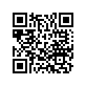 06533-ZY9-A04ZA SSBY-11-06533-ZY9-A09ZA-HANDLEBARKT*NH28