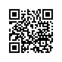 06534-ZZ5-303ZA SSBY-11-06533-ZZ5-010ZA-STRGHND*NH282MU*