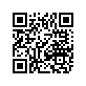 0670-317 O-RING