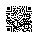 0670-397 SILENCER,AIR