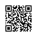 0670-400 SILENCER,AIR