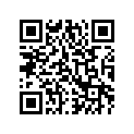 0691-569 PISTON, +.25(.010 )