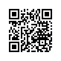 0691-570 PISTON, +.50(.020 )