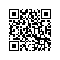 0691-624 GASKET