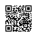 0703-221 SKI WELDMENT