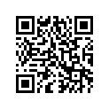 0703-985 SKI-WELDT-STF-0703-180