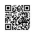 0704-740 PISTON-ASSY