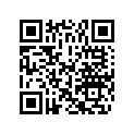 0763708 DECAL SET,FLAG-WHT