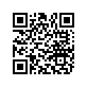 078307 Washer