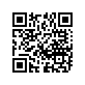 08211-17302 WASHERTHRUST