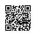 08211-17323 WASHERTHRUST
