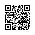 08211-20363 WASHERTHRUST