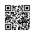 08211-25361 WASHER