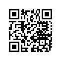 08331-21329 08331-41329-CIRCLIP