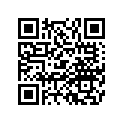 08F69-MCA-800 Грузик руля хромированный