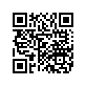 08L56-MCS-A0002 Bag