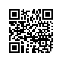 09111-08022 RRTORQUELINK