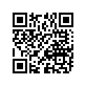 09160-10116 Washer (10x36x2)